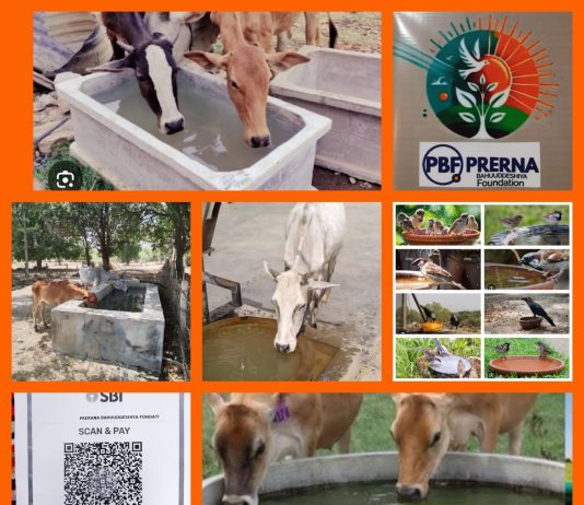 लेख – “तृष्णा”