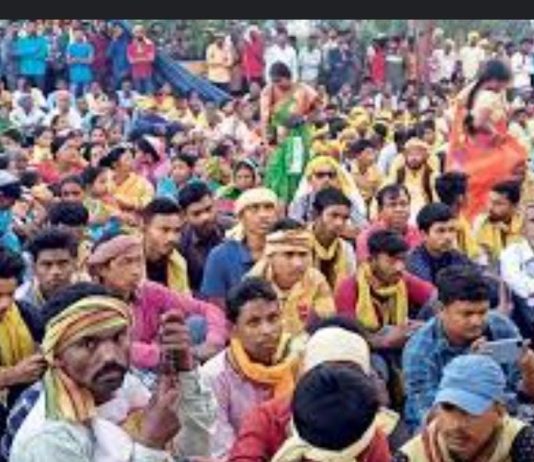 देचली येथील समक्का, सरक्का जत्रेत लोटली भाविकांची गर्दी…
