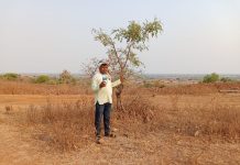 प्रत्येकाने आपल्या घराच्या परिसरामध्ये चिमण्या येत असतात त्यांना चारा पाण्याची व्यवस्था करण्याची संकल्पना करा