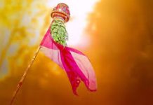 प्रबोधिनी मंच महाराष्ट्र समूह तर्फे आजची कविता – गुढी