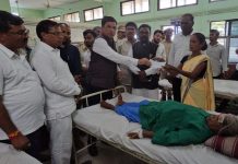 रानटी हत्तीच्या हल्ल्यात जखमी महिलेला ५० हजारांची मदत