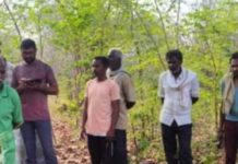 तेंदूपत्ता संकलन करताना आणखी एका महिलेचा मृत्यू..