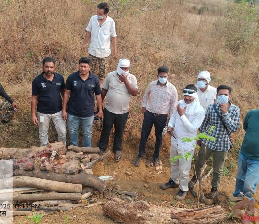 चंद्रपूरच्या ‘हॅबिटॅट काॅन्झर्वेशन सोसायटी’ ला स्पिसीज अण्ड हॅबिटॅट्स वाॅरियर्स पुरस्कार जाहीर