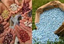 बियाणे खरेदी करताना खबरदारी घ्यावी