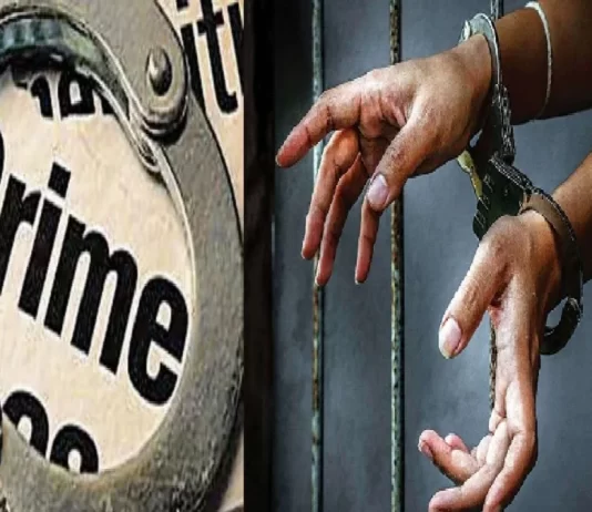 वर्षभरात अवैध दारुशी संबंधित 1668 आरोपींना अटक