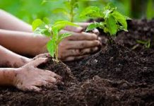 प्रबोधिनी मंच महाराष्ट्र समूह तर्फे जागतिक पर्यावरण दिनानिमित्त आजची कविता – जागतिक पर्यावरण दिन