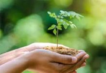 प्रबोधिनी मंच महाराष्ट्र समूह तर्फे जागतिक पर्यावरण दिनानिमित्त आजची कविता – जागतिक पर्यावरण दिन