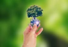 प्रबोधिनी मंच महाराष्ट्र समूह तर्फे पर्यावरण दिनानिमित्त आजची कविता – पर्यावरण