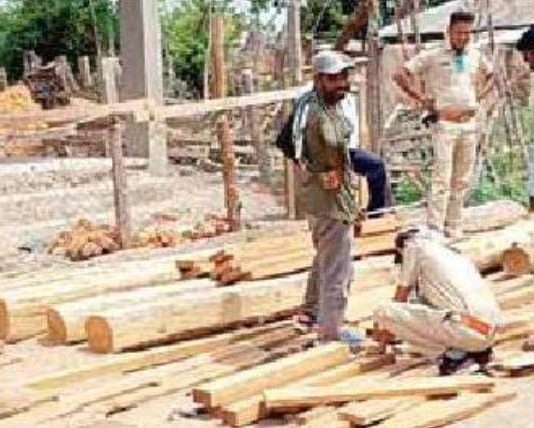 इंदाराम येथे चार लाखांचे इमारती सागवान लाकूड जप्त