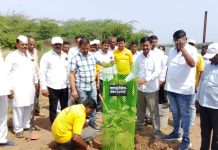 नैसर्गिक साधन संपत्तीचे रक्षण व संरक्षण करण्यासाठी जागतिक पर्यावरण दिनानिमित्त केले वृक्ष लागवड