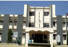 दिरंगाई, दिशाभूल, शिस्तभंग भोवले वनपाल व वनरक्षक निलंबित