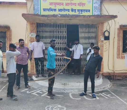 सरकारी दवाखान्यात निघाला साप