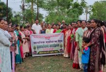 बाबूपेठ महिला बचत गट तथा रणरागिणी पतसंस्थेच्या वतीने जागतिक पर्यावरण दिनानिमित्य वृक्षारोपण कार्यक्रमाचे आयोजन