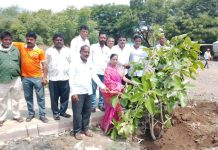 वाढदिवसानिमित्त केले वडाच्या झाडाचे वृक्षरोपण व लागवड.