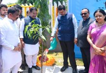 नवीन झाडे लावून पर्यावरणाची हानी भरून काढण्याच्या अटीवरच लोह खनिज प्रकल्पाला टप्प्याटप्प्याने काम करण्यास परवानगी – वनविभाग