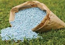 डिएपी खताऐवजी पर्यायी खतांचा वापर करा