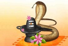 प्रबोधिनी मंच महाराष्ट्र समूह तर्फे आजची कविता – नागपंचमी