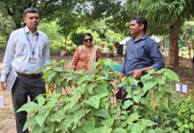 कसनसूर फळ रोपवाटिका बनणार आदर्श केंद्र – जिल्हा अधीक्षक कृषी अधिकाऱ्यांचा आढावा