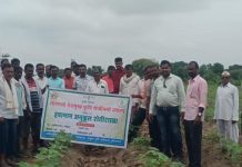 अडेगाव येथे कापूस पिकाची शेतीशाळा