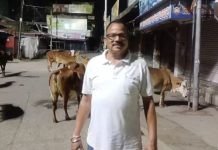 मोकाट जनावरांचा तात्काळ बंदोबस्त करा – सुधाकर बादूरकर माजी ग्रामपंचायत उपसरपंच यांची नगरपरिषद प्रशासनाला मागणी