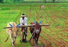 शेतकऱ्यांच्या परदेश दौ-याकरीता प्रवासी कंपनी निवडीसाठी निविदा प्रक्रिया सुरू