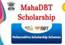 महाडिबीटी पोर्टलवर शिष्यवृत्तीसाठी अर्ज प्रक्रिया सुरु : विद्यार्थ्यांनी लवकर अर्ज सादर करण्याचे आवाहन