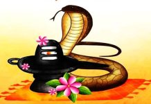 प्रबोधिनी मंच महाराष्ट्र समूह तर्फे आजची कविता – नागपंचमी