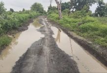 येडशी ते मुकूटबन या मार्गाची अतिशय दयनीय अवस्था