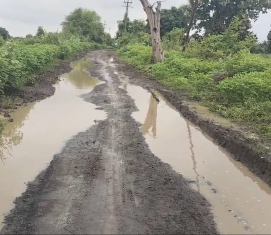 येडशी ते मुकूटबन या मार्गाची अतिशय दयनीय अवस्था