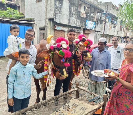 बामणोद येथे पारंपारिक पद्धतिने बैल पोळा सण उत्साहात साजरा