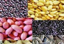 तेलबिया प्रक्रिया उद्योगासाठी अनुदान; अर्ज करण्याचे आवाहन
