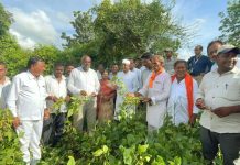 लोकप्रिय खासदार डॉक्टर नामदेव कीरसान थेट शेतकऱ्यांच्या बांधावर