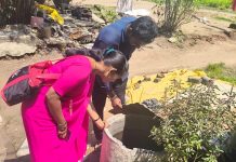 अवकाळी पावसामुळे डासांच्या प्रादुर्भावाची शक्यता