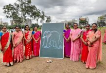 श्री. नागेश्वर विद्यालय भागशाळा चिखली येथे भोंडला संपन्न