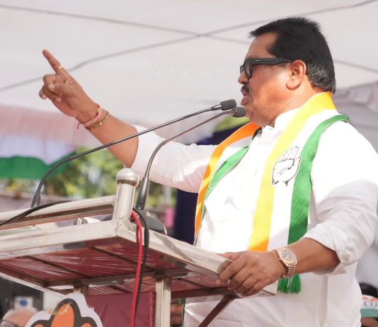 काँग्रेसला एकहाती सत्ता मिळाल्यास आरमोरी शहराचा चेहरामोहरा बदलाविणार ; आरमोरी येथील प्रचार सभेतून नागरिकांना केले आवाहन…