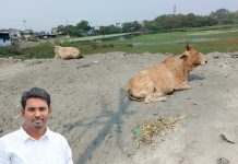 “घुग्घुस नगरपरिषदचा भ्रष्टाचार” संबंधित अधिकारी आणि जनप्रतिनिधी वर कारवाही करायची मागणी – अमित बोरकर