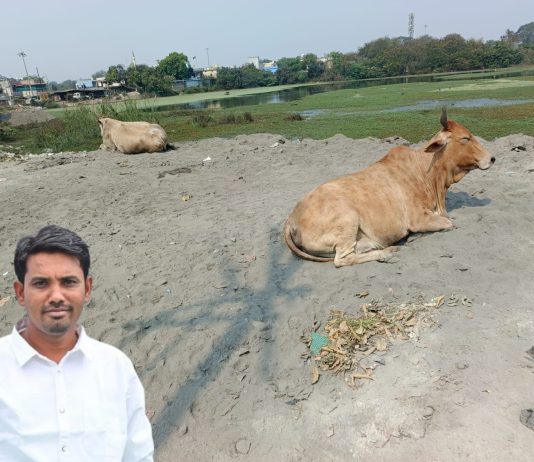 “घुग्घुस नगरपरिषदचा भ्रष्टाचार” संबंधित अधिकारी आणि जनप्रतिनिधी वर कारवाही करायची मागणी – अमित बोरकर