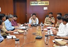 जिल्हाधिका-यांकडून माता महाकाली यात्रा पुर्वतयारीचा आढावा