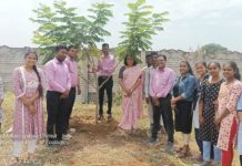 ग्रामगीता महाविद्यालयात प्राणीशास्त्र विभागातर्फे “जागतिक चिमणी दिवस” साजरा