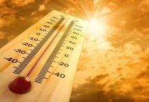 राज्यात पुन्हा उन्हाचा तडाखा: विदर्भात पारा ४७ अंशांच्या उंबरठ्यावर; आता ‘अतिउष्णतेचा’ इशारा