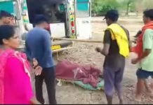 रानडुकराच्या हल्ल्यातील जखमींवर तात्काळ उपचार; १०२ आणि १०८ रुग्णवाहिकांच्या तत्परतेमुळे वाचले प्राण