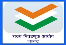 जिल्ह्यातील 100 टक्के मतदारांची घरोघरी जाऊन होणार पडताळणी