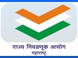 मतदार यादी कामात हलगर्जीपणा केल्यामुळे शिक्षकाचे निलंबन