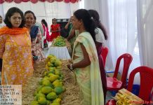 जिल्हाधिका-यांच्या हस्ते आंबा महोत्सवाचे उद्घाटन