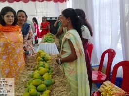 जिल्हाधिका-यांच्या हस्ते आंबा महोत्सवाचे उद्घाटन