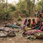 काळजाचा थरकाप! तेंदूपाने तोडण्यासाठी गेलेल्या १३ महिलांवर वाघाचा हल्ला; चार महिला ठार