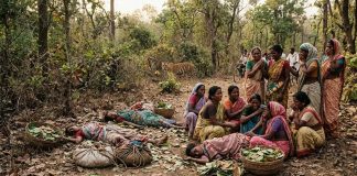 काळजाचा थरकाप! तेंदूपाने तोडण्यासाठी गेलेल्या १३ महिलांवर वाघाचा हल्ला; चार महिला ठार