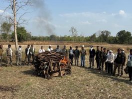 दुर्दैवी घटना: विहिरीत पडून वाघाचा मृत्यू