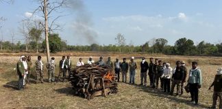 दुर्दैवी घटना: विहिरीत पडून वाघाचा मृत्यू