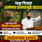 चंद्रपूर जिल्ह्यात वाघांच्या हल्ल्यांमुळे खळबळ; मनसेचे जिल्हा सचिव किशोर मडगुलवार यांचे जिल्हाधिकाऱ्यांना निवेदन, आंदोलनाचा इशारा